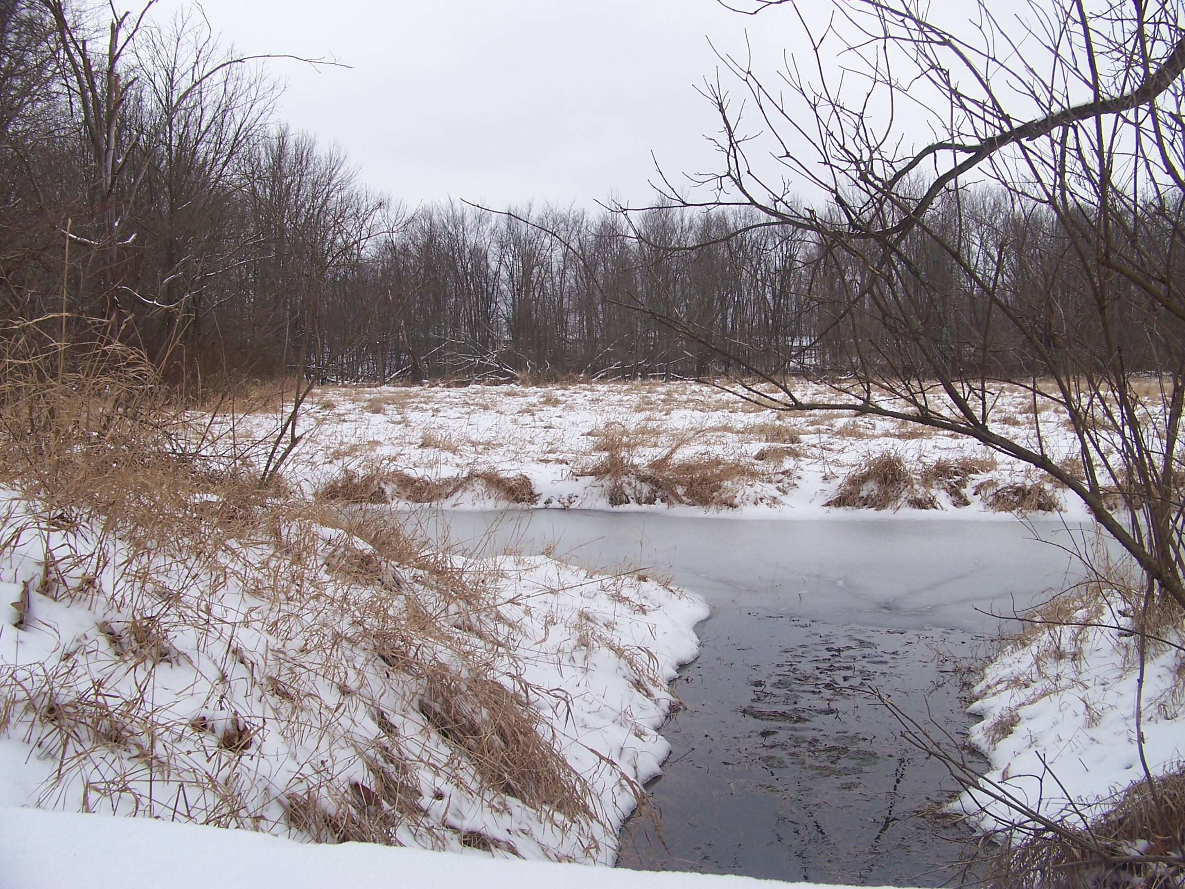 Winter Angler Psychology 101