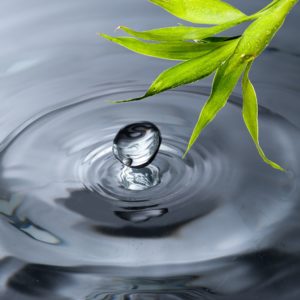 14473870 - fresh green bamboo leaf with water drop and water ripple