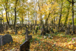 33228431 - autumn in old cemetery